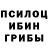 Галлюциногенные грибы ЛСД hloppop holop