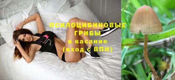 прущий лед Бронницы