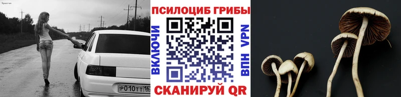 купить наркотики сайты  Выкса  Галлюциногенные грибы мицелий 