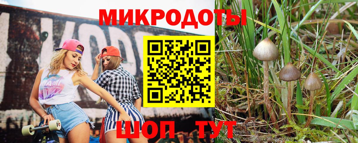 Галлюциногенные грибы прущие грибы  продажа наркотиков  Выкса  Псилоцибиновые грибы GOLDEN TEACHER 