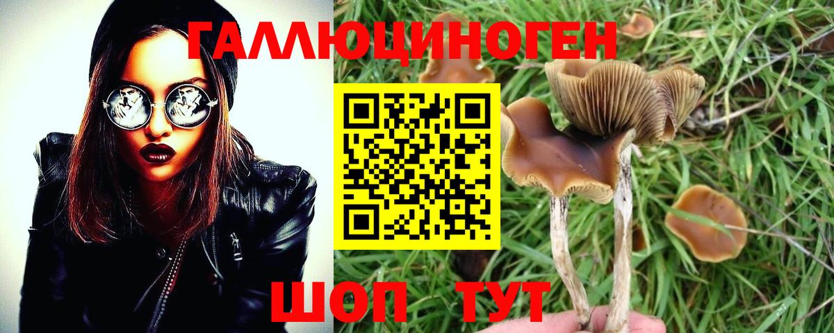 Галлюциногенные грибы MAGIC MUSHROOMS Выкса