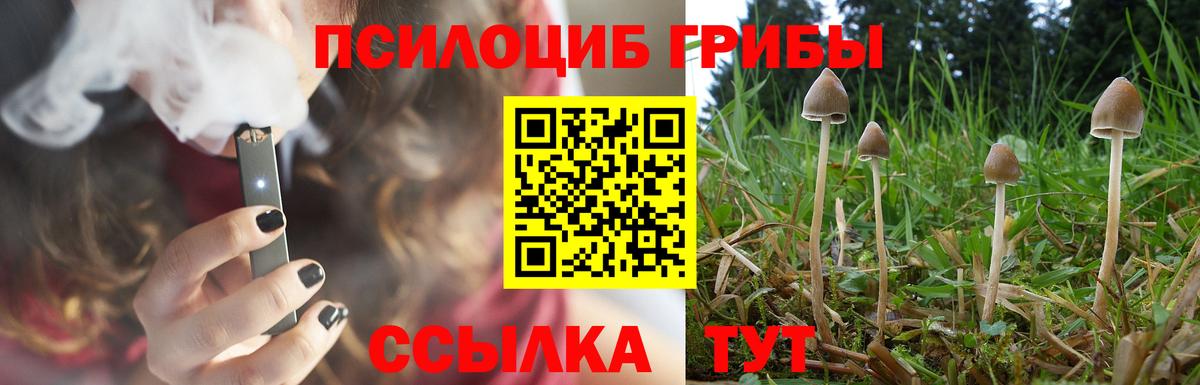 Псилоцибиновые грибы мицелий  Вход с VPN  Выкса  Псилоцибиновые грибы мухоморы 